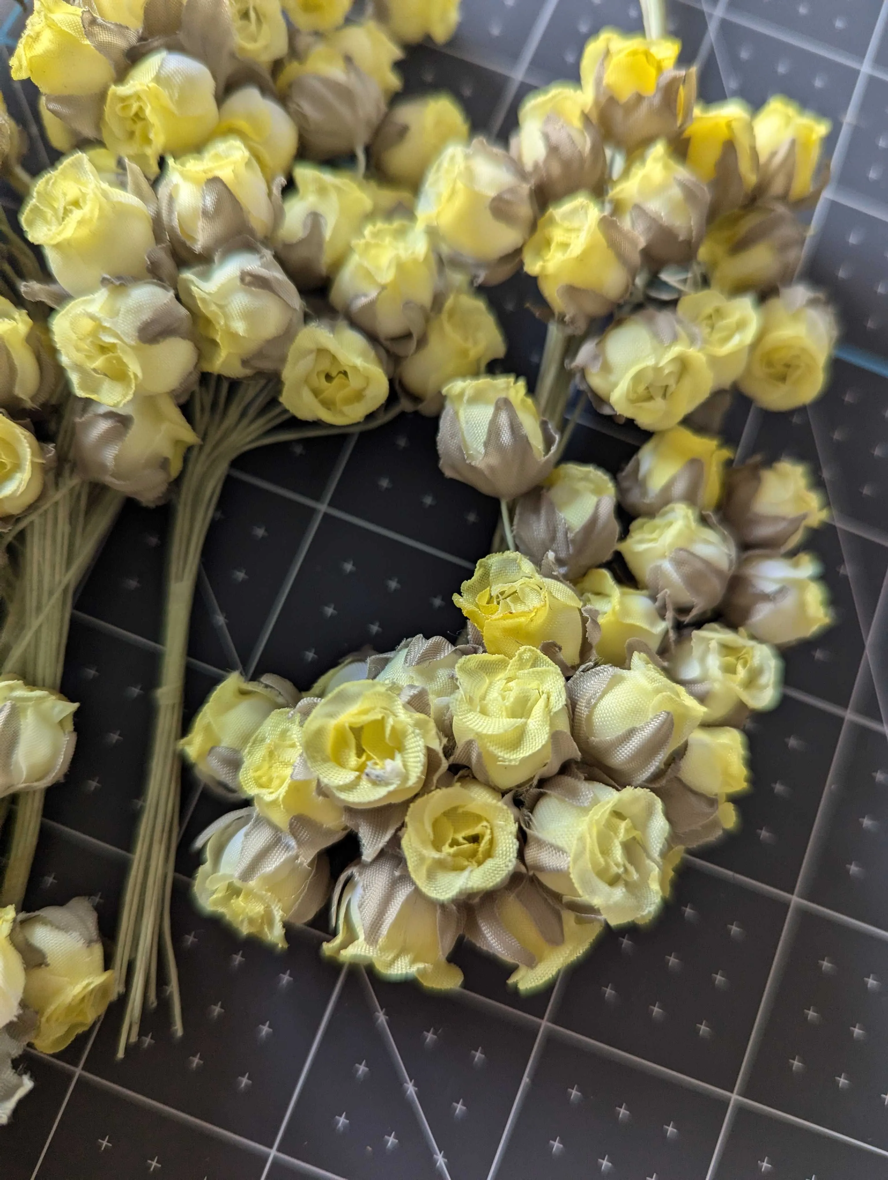 Miniature Yellow Rosebuds