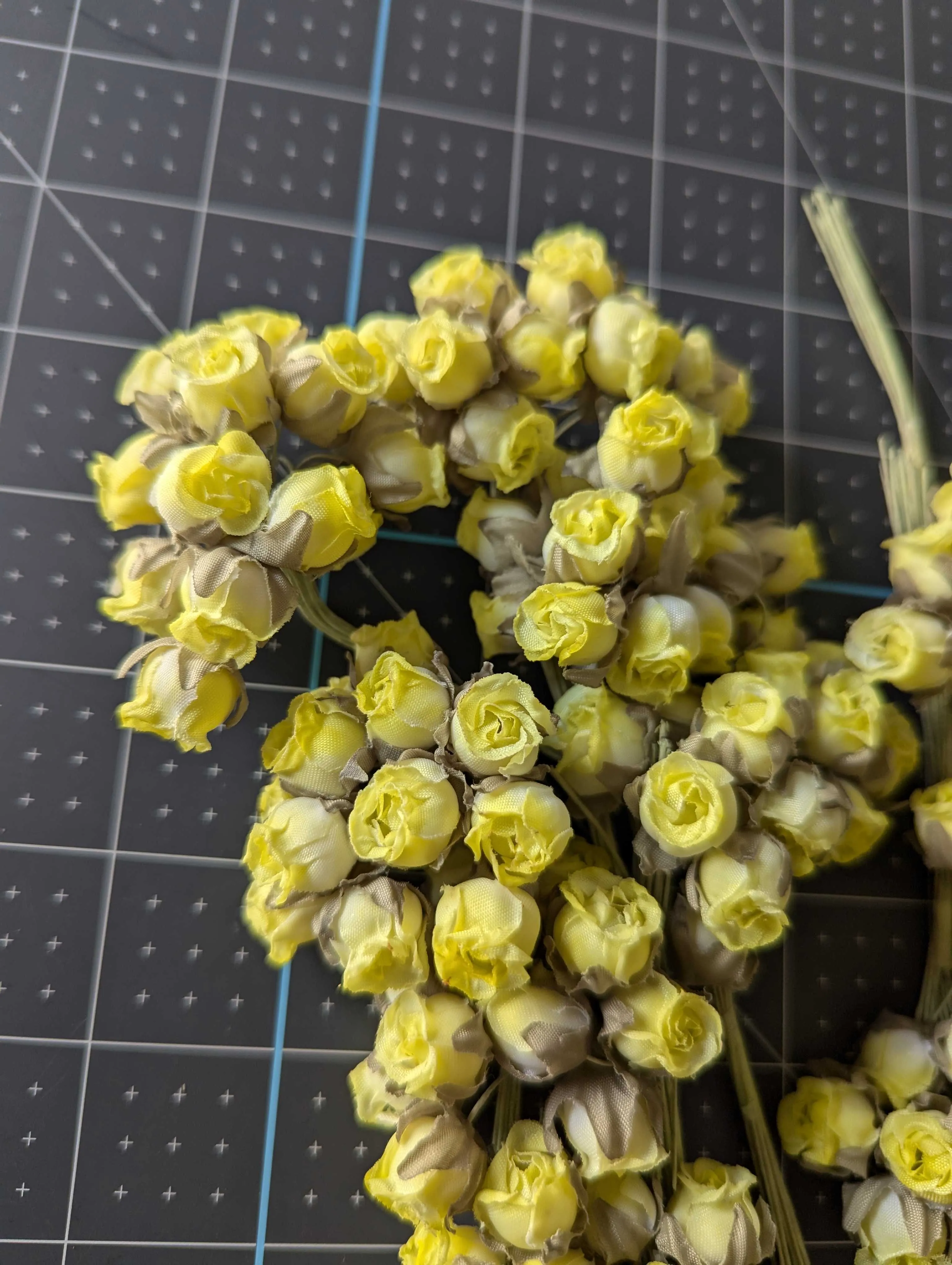 Miniature Yellow Rosebuds