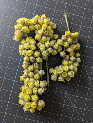 Miniature Yellow Rosebuds